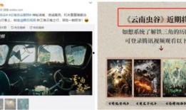 云南虫谷爆料视频,揭秘神秘古墓的惊悚之旅